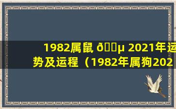 1982属鼠 🐵 2021年运势及运程（1982年属狗2024年运势及运程详解）